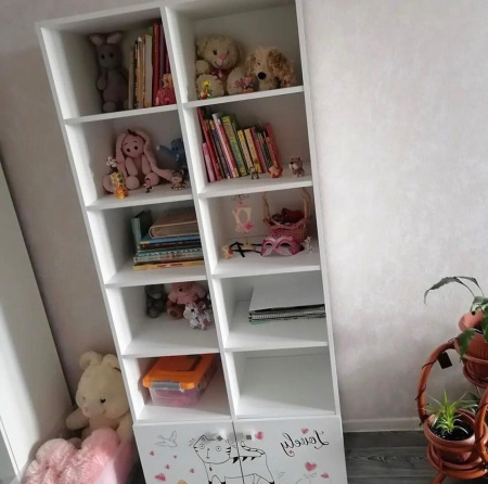 Стеллаж коллекции Анита от Династия Kids